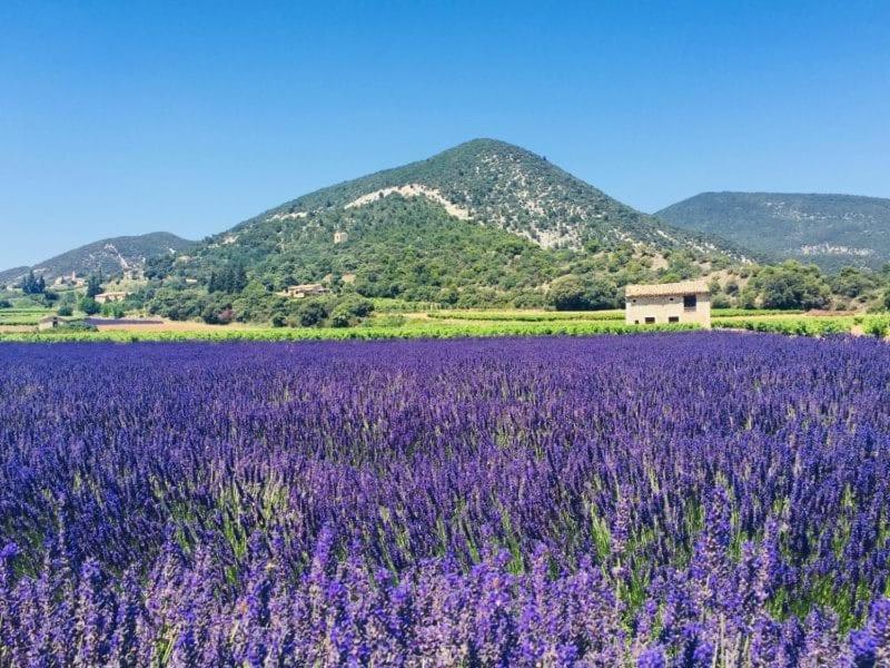 La Benvingude Bed & Breakfast Nyons Bagian luar foto